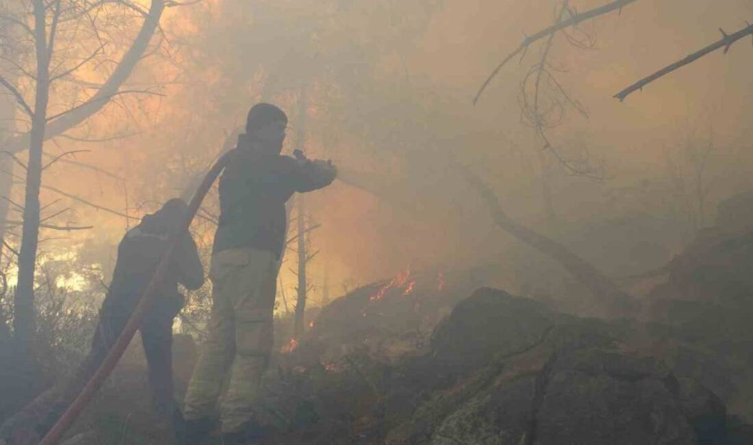 Antalya’nın Konyaaltı ilçesinde, Beydağları Sahil Parkı’nda yüksek gerilim hattındaki elektrik