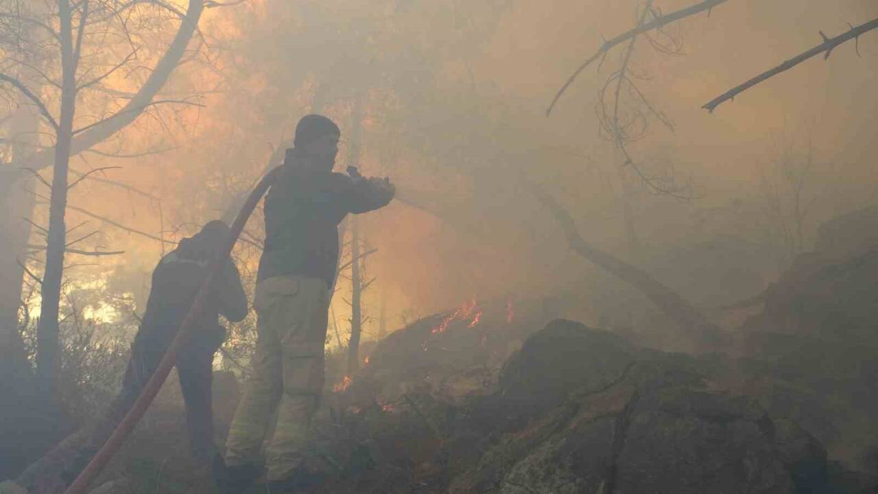 Antalya’nın Konyaaltı ilçesinde, Beydağları Sahil Parkı’nda yüksek gerilim hattındaki elektrik