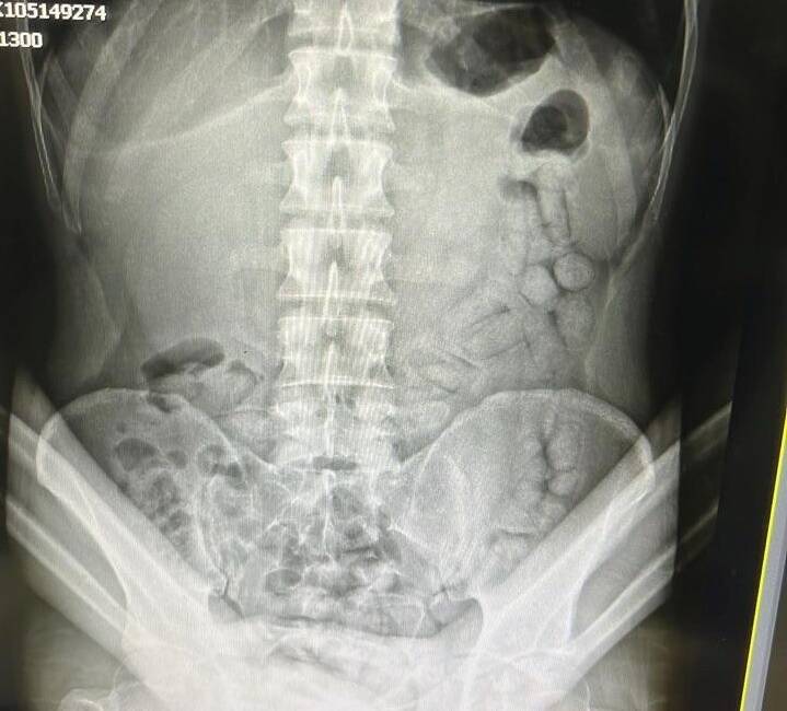 GÜMÜŞHANE (İHA) – Gümüşhane’de polis ekiplerinin kontrol noktasında durdurduğu araç