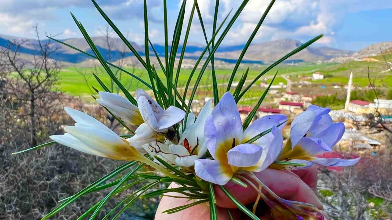 Diyarbakır’ın Silvan ilçesine bağlı Demirkuyu köyü, baharın gelişiyle adeta bir