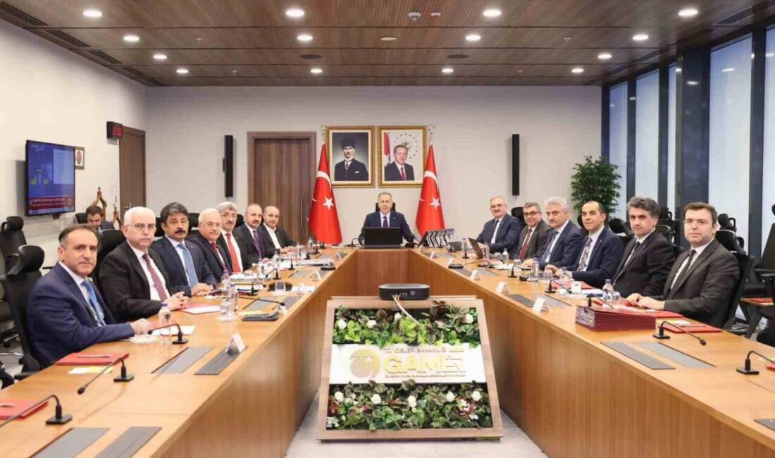 İçişleri Bakanı Ali Yerlikaya sokak hayvanlarının toplanıp bakımevlerine yerleştirilmesi ile