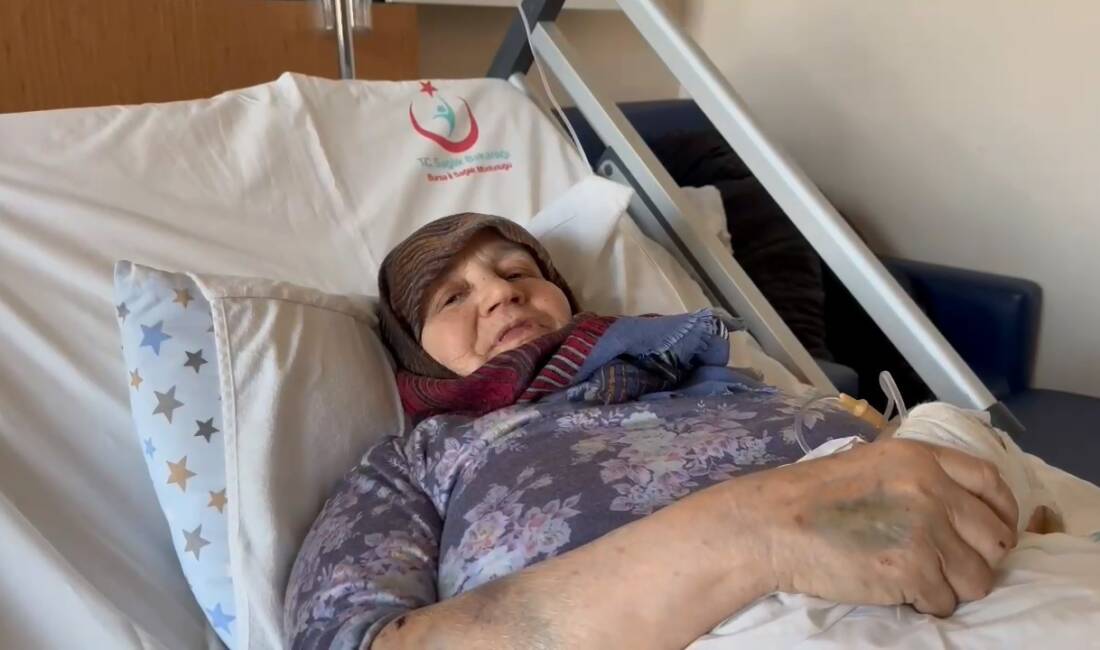 Bursa’nın İznik ilçesinde sahipsiz köpeklerin saldırdığı 66 yaşındaki kadının yardımına