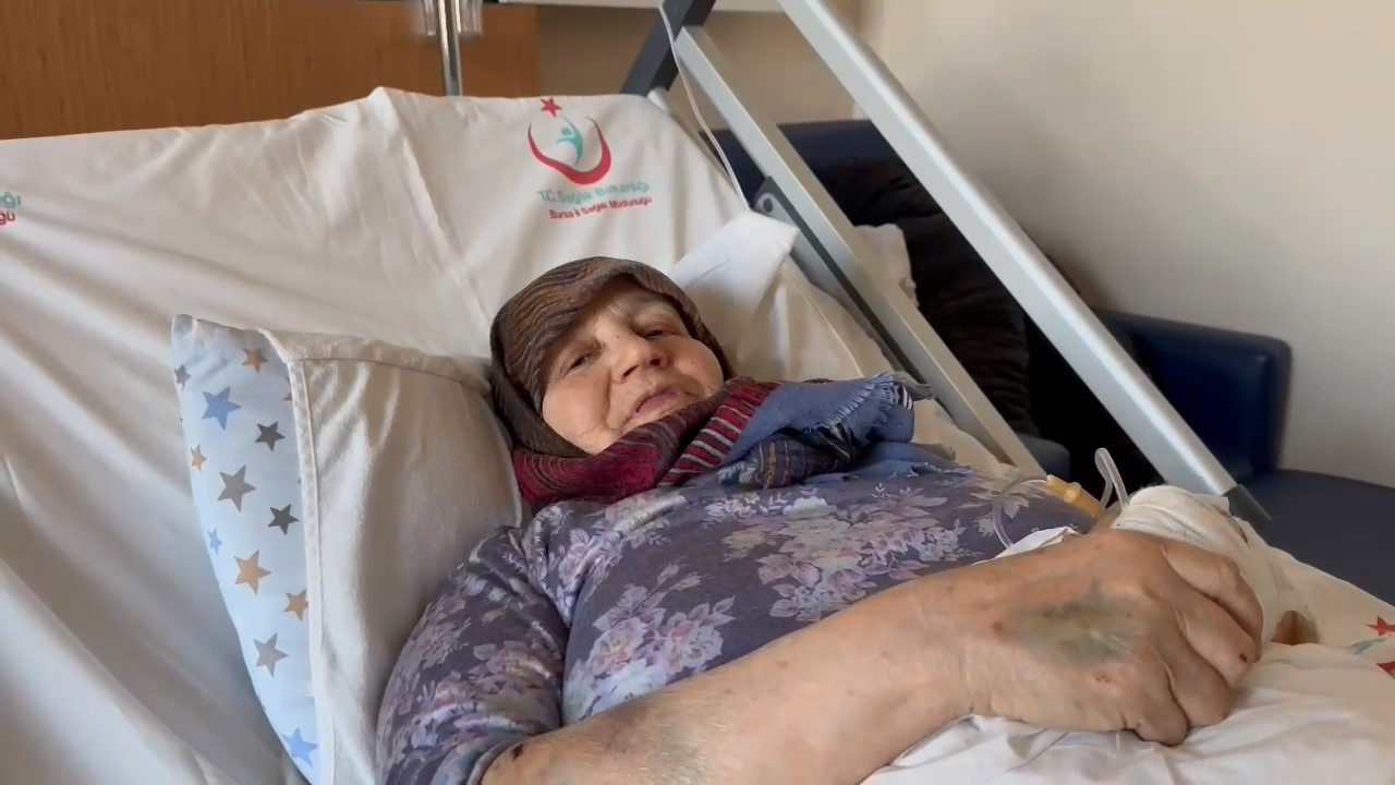 Bursa’nın İznik ilçesinde sahipsiz köpeklerin saldırdığı 66 yaşındaki kadının yardımına