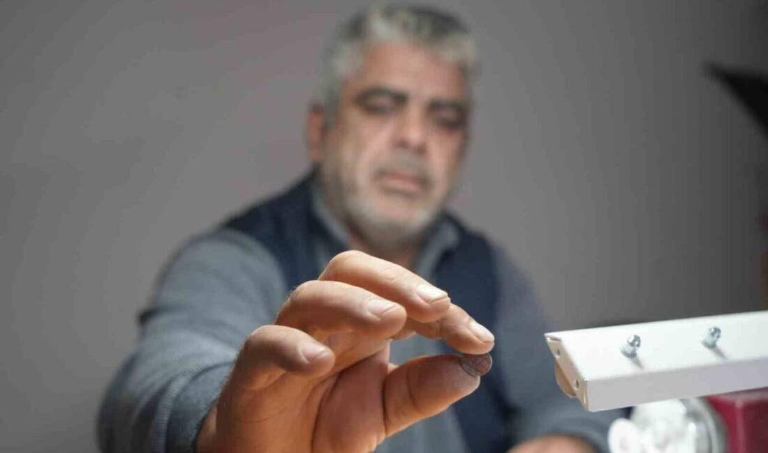 Çam ağaçlarından sızan reçinelerin taşlaşmasıyla oluşan, süs eşyası yapımında kullanılan,