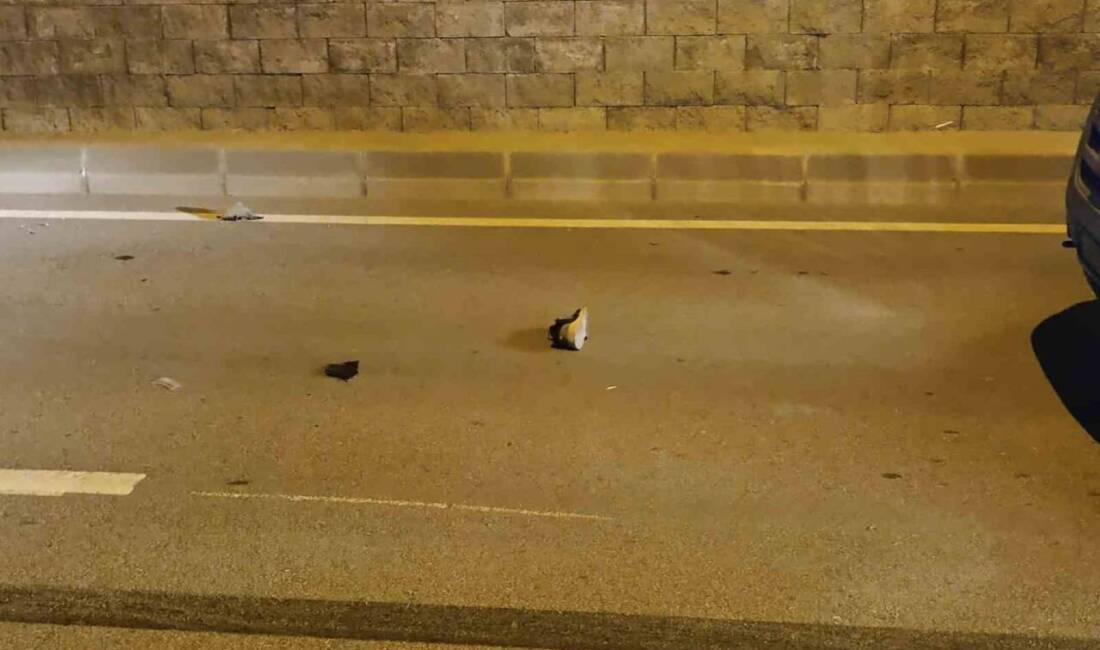 Bursa’da yolun karşısına geçmekte olan 2 kişiye hafif ticari araç