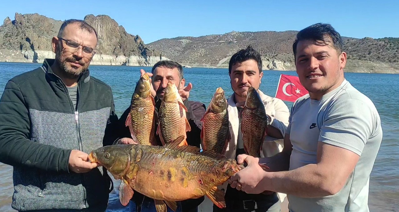 Yozgat’ın Çekerek ilçesinde balıkçıların ağına dev sazan takıldı. Çekerek Barajı’nın