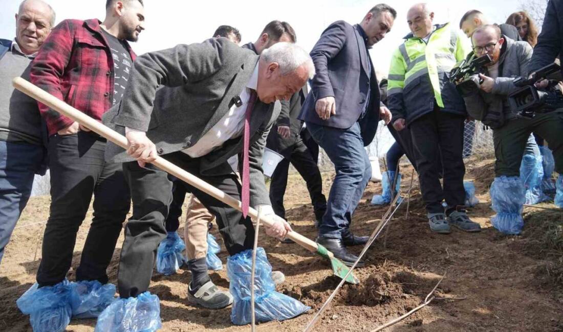 Bursa’da çiftçiyi tarıma teşvik etmek ve üretimi desteklemek hedefiyle Kadriye