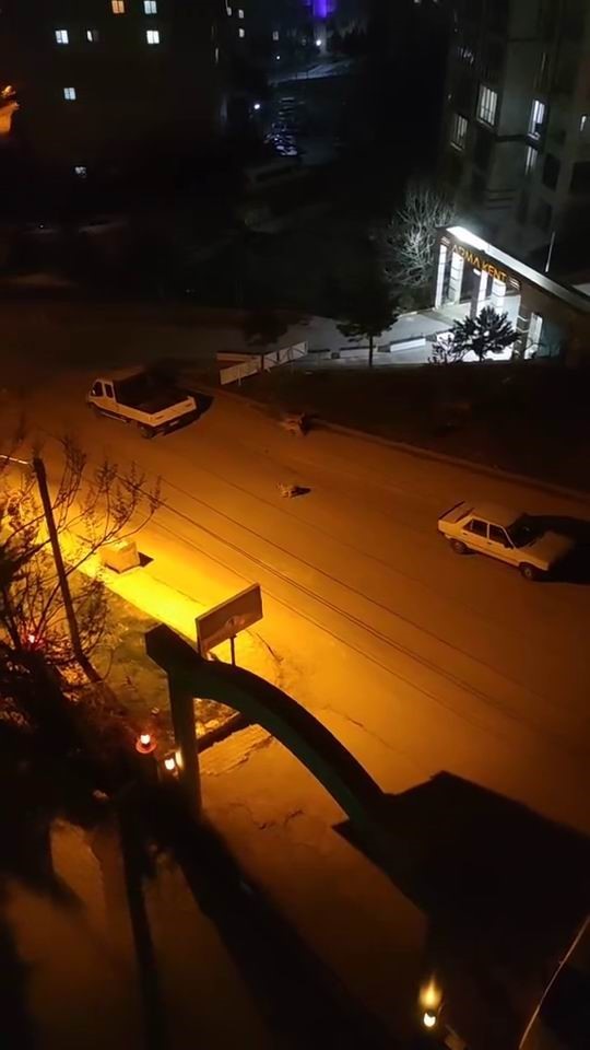 Elazığ'da Cumhuriyet Mahallesi'nde başıboş köpeklerin saldırısına uğrayan bir çocuk, panik