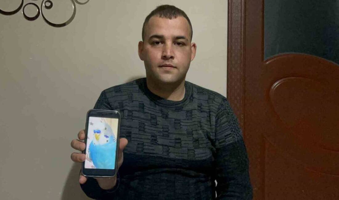 Hatay’da yaşayan Ferhat Okur, 6 yıldır beslediği ve kaçarak kayıplara