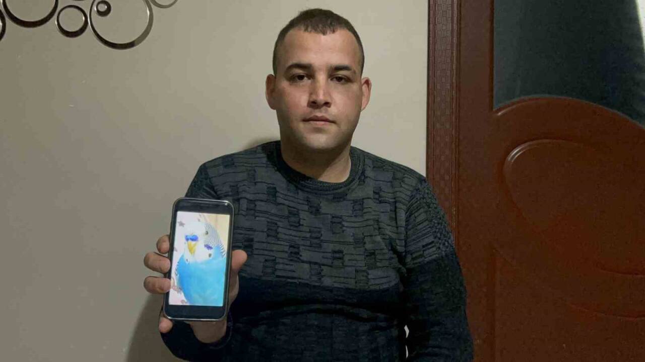 Hatay’da yaşayan Ferhat Okur, 6 yıldır beslediği ve kaçarak kayıplara