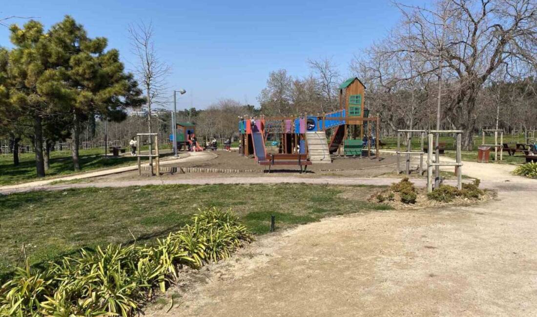 İstanbul’da bulunan Florya Atatürk Ormanı’nda başıboş köpekler vatandaşları tedirgin ediyor.