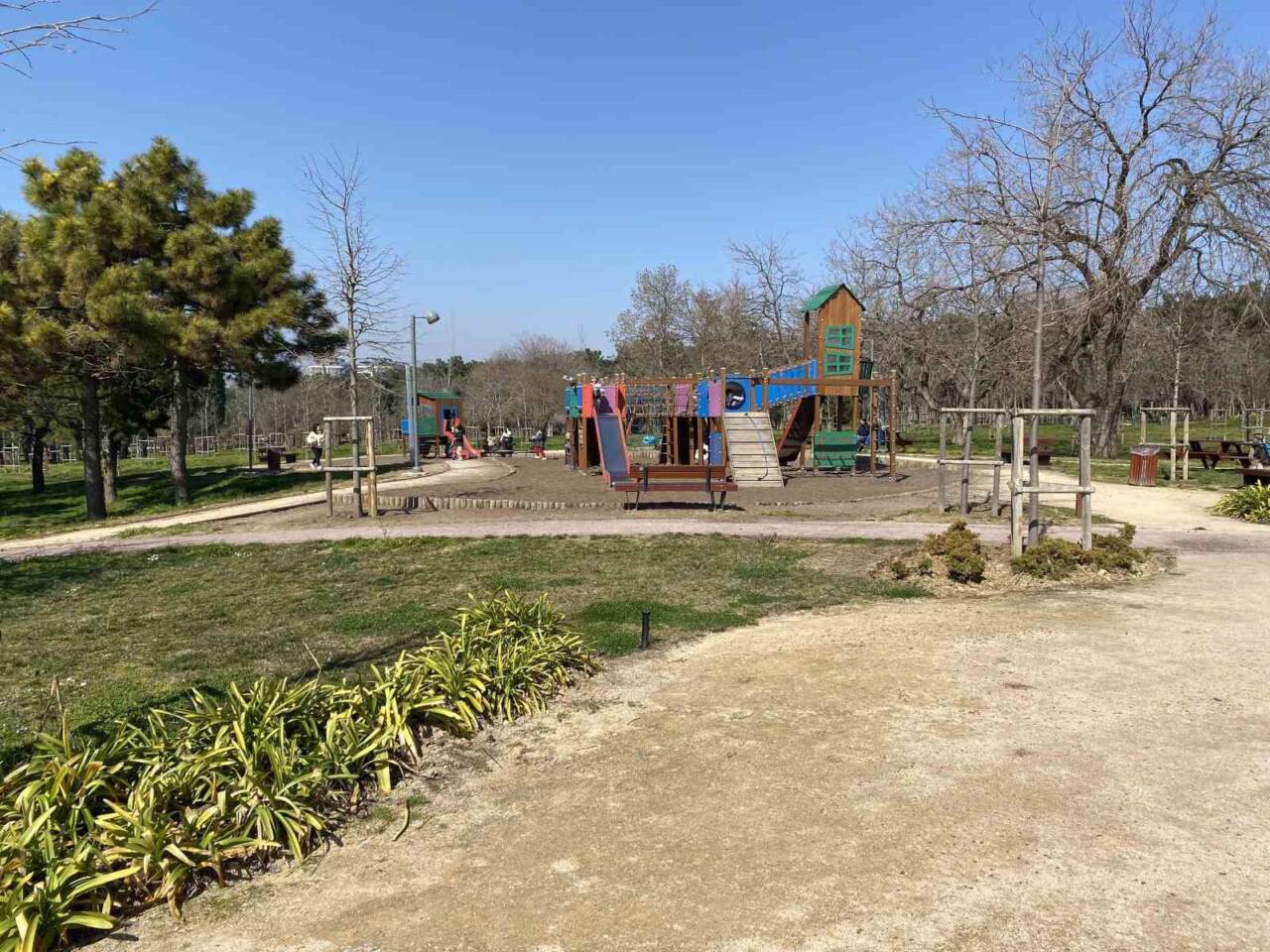 İstanbul’da bulunan Florya Atatürk Ormanı’nda başıboş köpekler vatandaşları tedirgin ediyor.