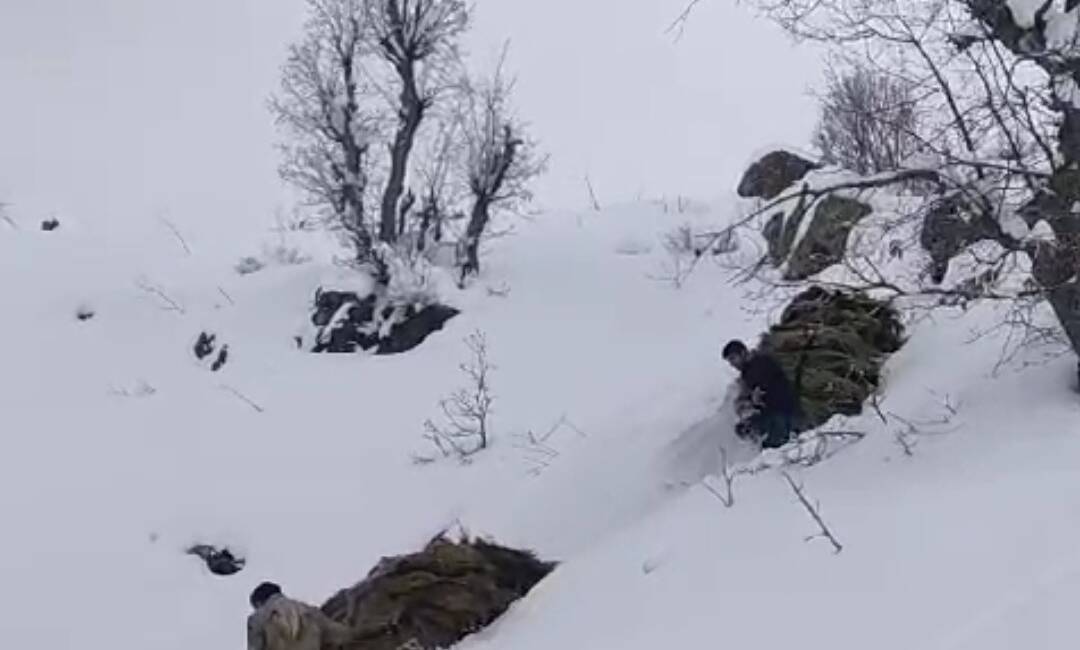 Hakkari’nin Derecik ilçesinde besiciler, 3 bin 340 rakımlı Karadağ Dağı