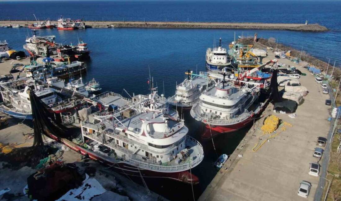 Denizlerde 15 Nisan’da başlayacak av yasağına kısa bir süre kala