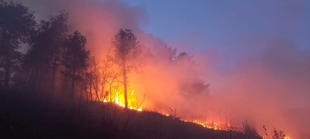 Hatay’ın Amanos Dağı eteklerinde çıkan orman yangını, ekiplerin müdahalesiyle büyümeden