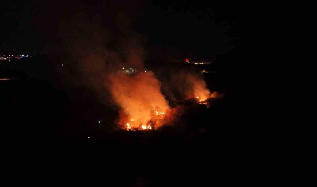 Kırıkkale’nin Yahşihan ilçesinde, 25 dönümlük ağaçlık alanda çıkan yangın paniğe