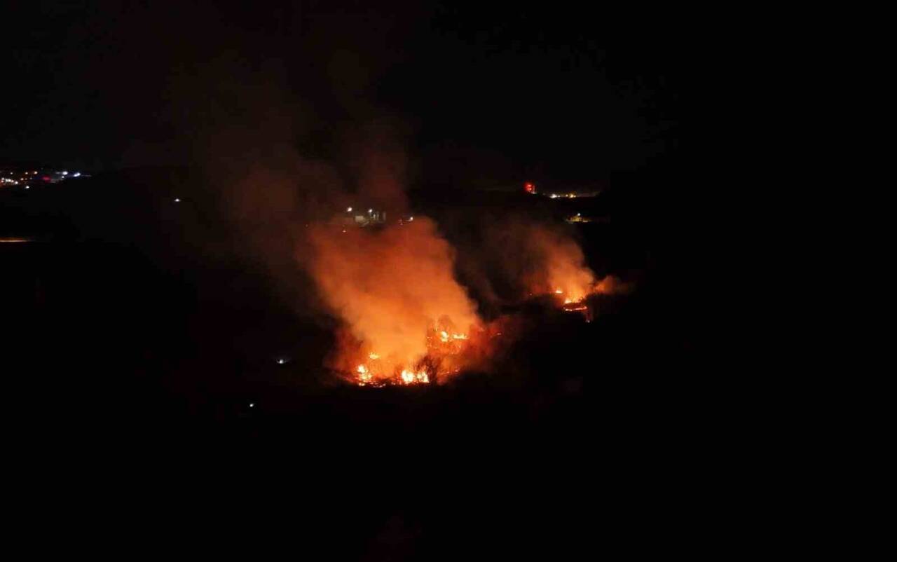 Kırıkkale’nin Yahşihan ilçesinde, 25 dönümlük ağaçlık alanda çıkan yangın paniğe