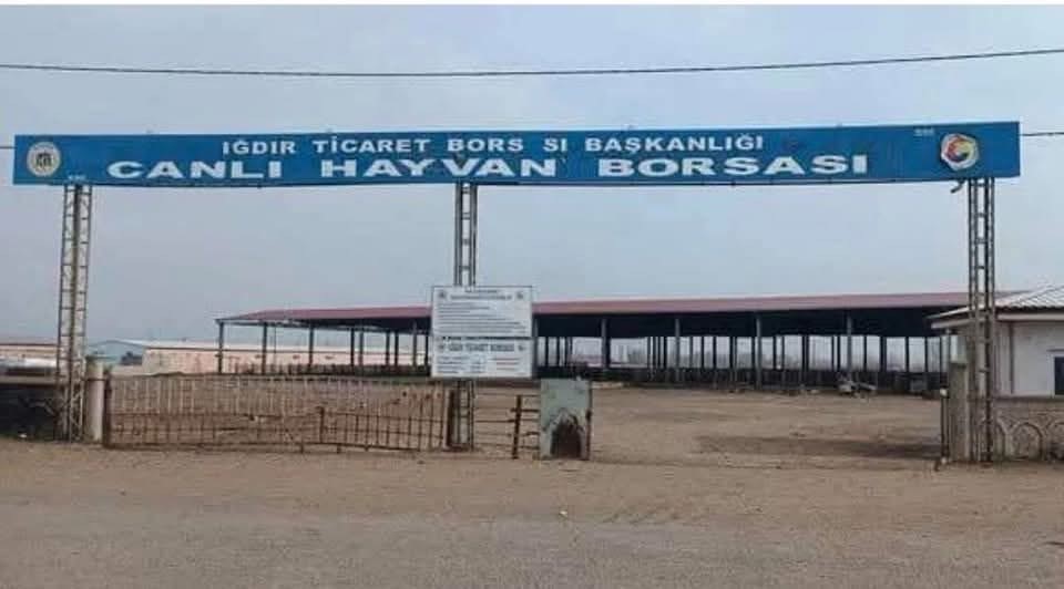 Iğdır Ticaret Borsası, şap hastalığından dolayı kapanan hayvan pazarının 10