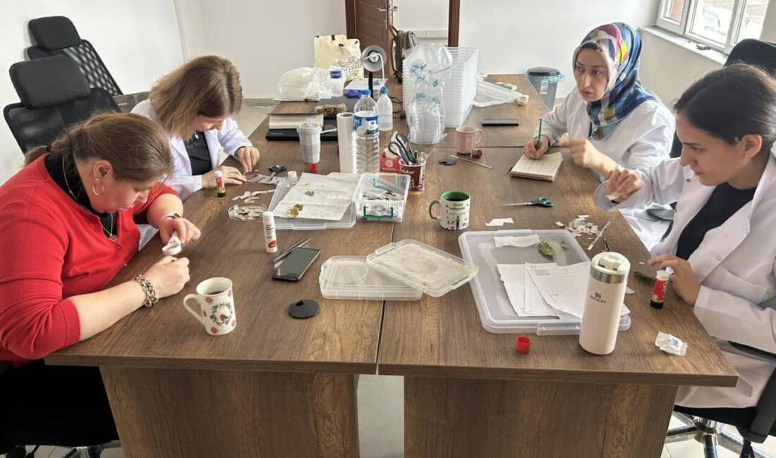 Tarım ve Orman Bakanlığı tarafından yürütülen ’Kahverengi Kokarca ile Mücadele