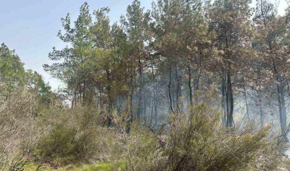 Antalya’nın Kemer ilçesindeki orman yangını ekiplerin çalışması sonucu kontrol altına