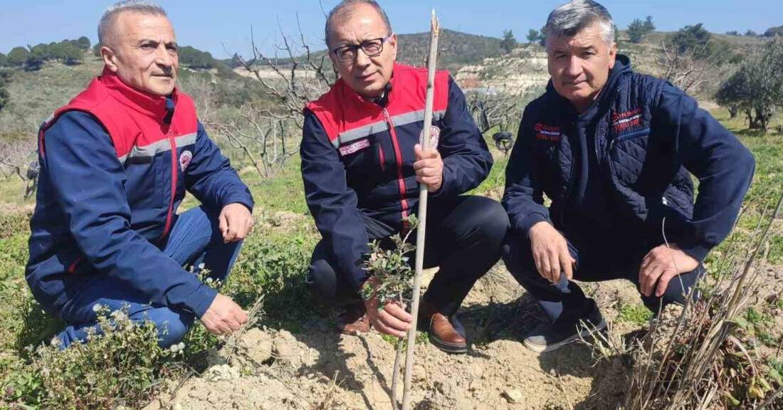 Tarım ve Orman İl Müdürü İbrahim Altıntaş, Aydın Valiliği Yatırım