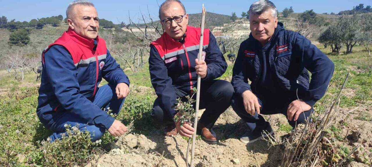 Tarım ve Orman İl Müdürü İbrahim Altıntaş, Aydın Valiliği Yatırım