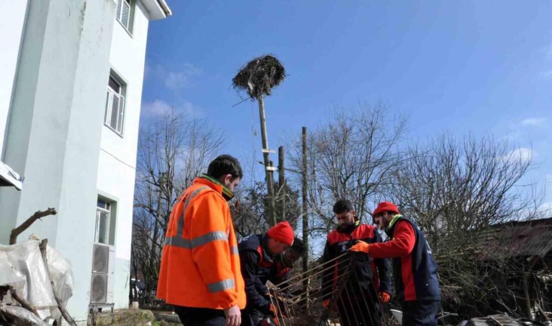 Kocaeli’nin Kandıra ilçesinde rüzgar nedeniyle eğilen ve yıkılma tehlikesi olan