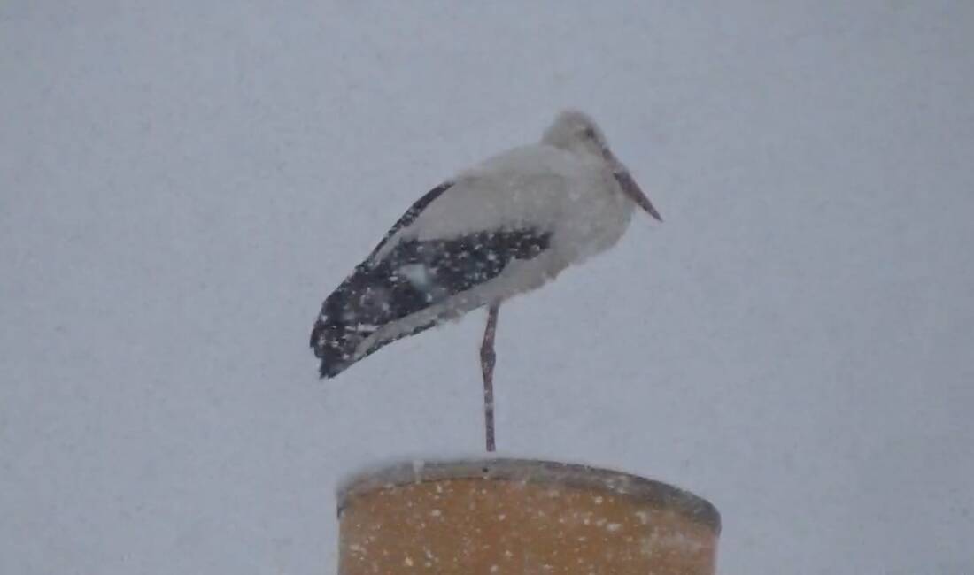 Tunceli'nin Pülümür ilçesinde yoğun kar yağışı nedeniyle mahsur kalan bir