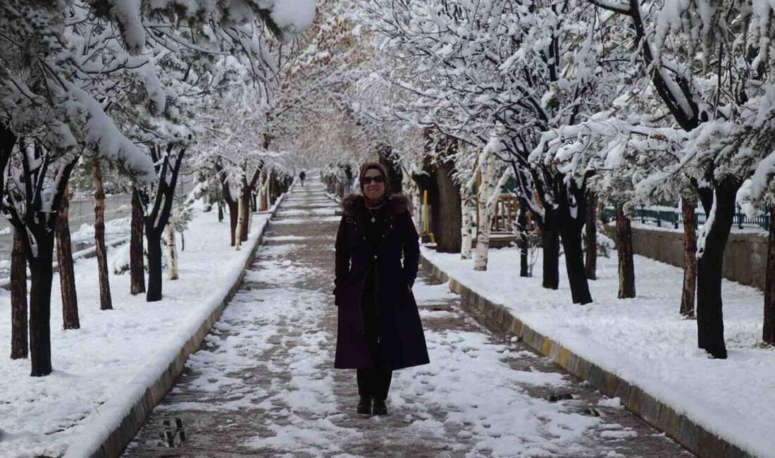 Erzurum'un Oltu ilçesi, Mart ayında yoğun kar yağışı nedeniyle beyaz