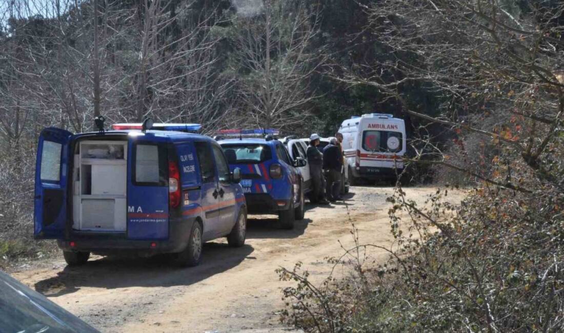 Edirne’nin Keşan ilçesinde, Mahmutköy-Çamlıca köyü arasındaki ormanlık alanda, park halindeki