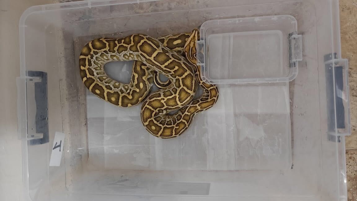 Sivas’ta Doğa Koruma ve Milli Parklar ve İl Emniyet Müdürlüğü