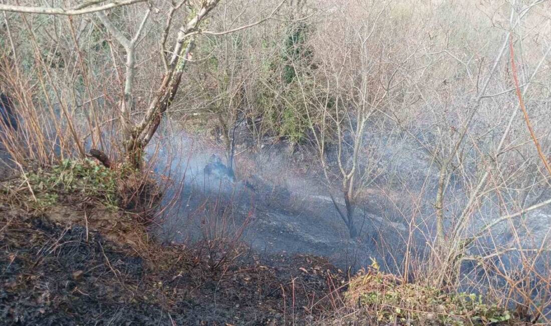 Kocaeli’nin Karamürsel ilçesinde, Tepeköy Mahallesi Bayramcık mevkisinde meydana gelen olayda,