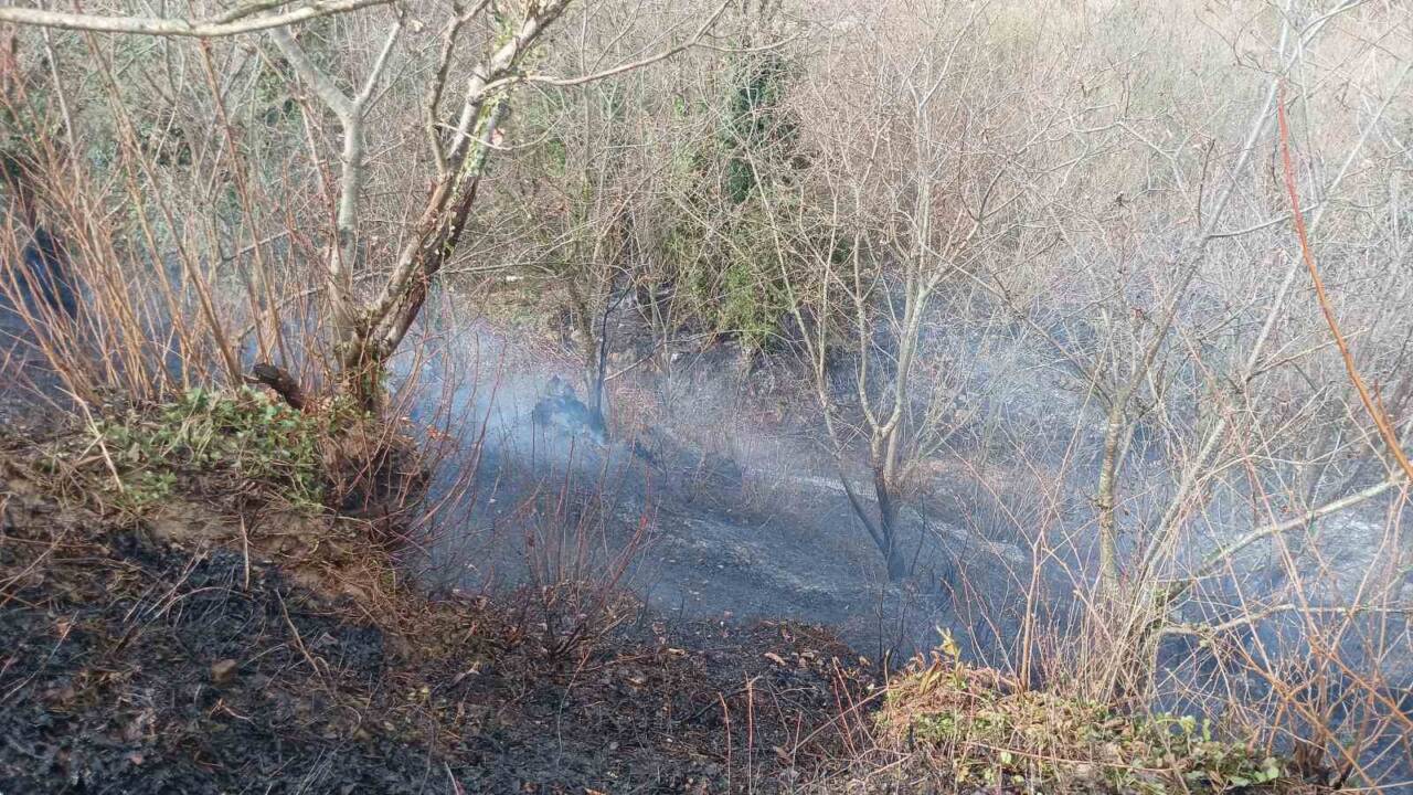 Kocaeli’nin Karamürsel ilçesinde, Tepeköy Mahallesi Bayramcık mevkisinde meydana gelen olayda,