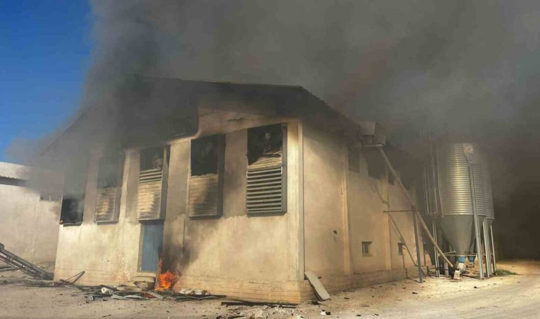 Afyonkarahisar'ın Başmakçı ilçesindeki Nevzat Tezcan'a ait tavuk çiftliğinde çıkan yangında