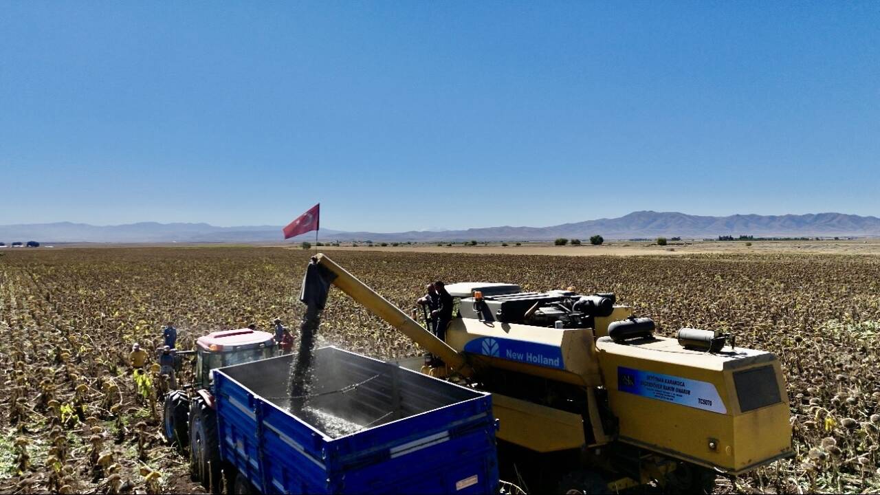 Ağrı'da ayçiçeği ekim alanı 2025'te 50 bin dekara yükselerek 758