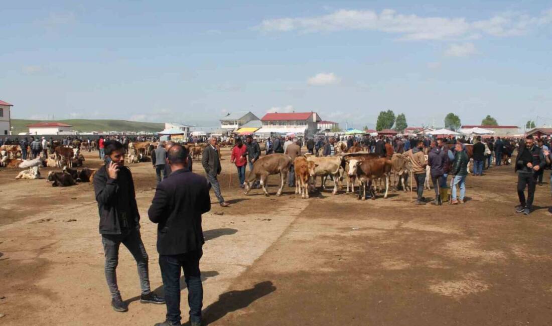 Ağrı'da geçici olarak kapatılan Canlı Hayvan Borsası, şap hastalığıyla yapılan