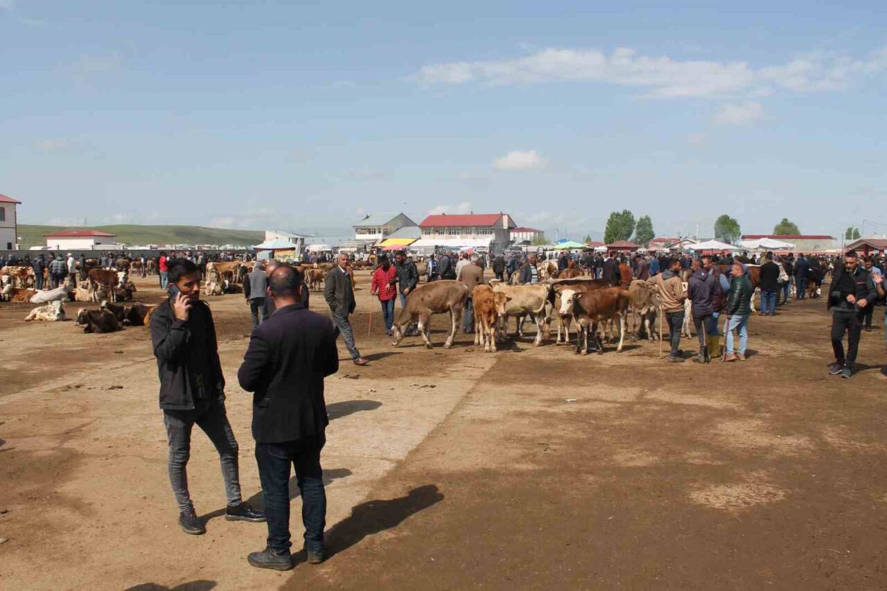 Ağrı'da geçici olarak kapatılan Canlı Hayvan Borsası, şap hastalığıyla yapılan