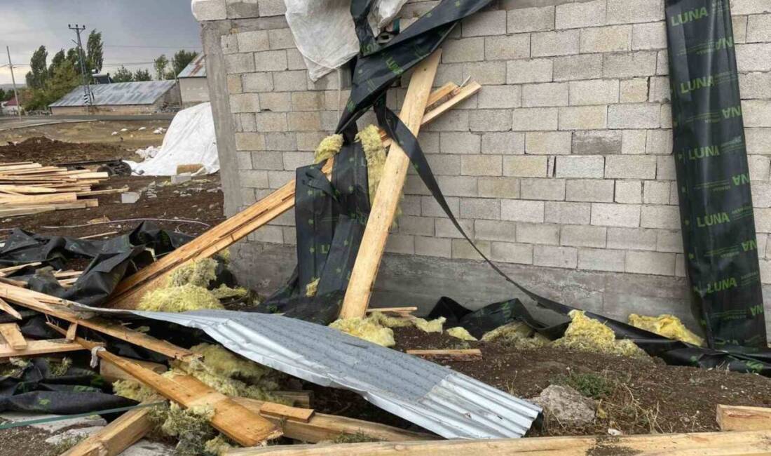 Ağrı'nın Tezeren köyünde meydana gelen fırtına, 74 yapının çatısını zarar