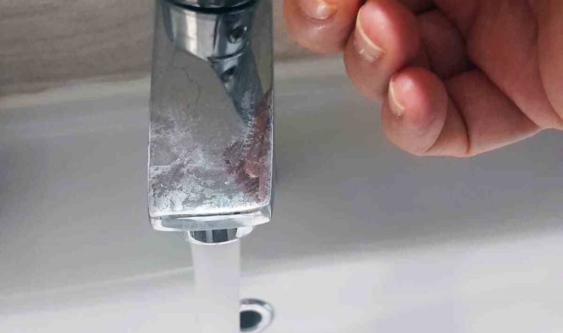 Muğla'nın Bodrum ilçesinin su ihtiyacını karşılayan Mumcular Barajı'ndan tarımsal kullanımlar