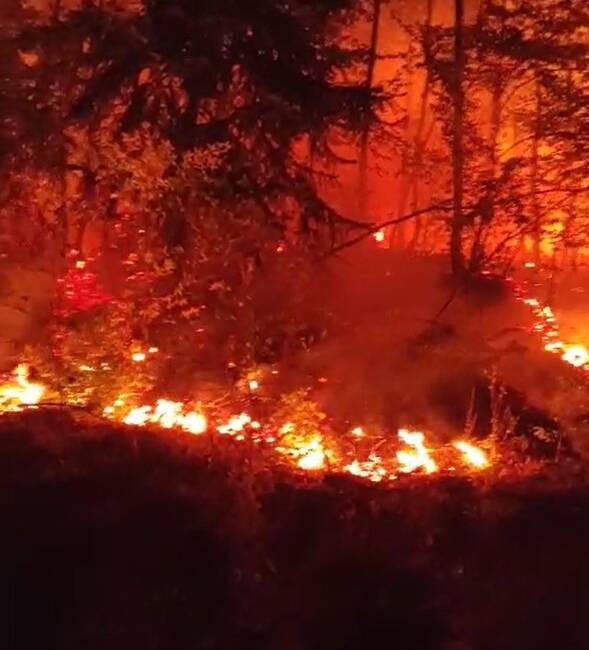 Düzce'nin Yığılca ilçesindeki Mengen köyü ormanlık alanında çıkan yangın, rüzgar