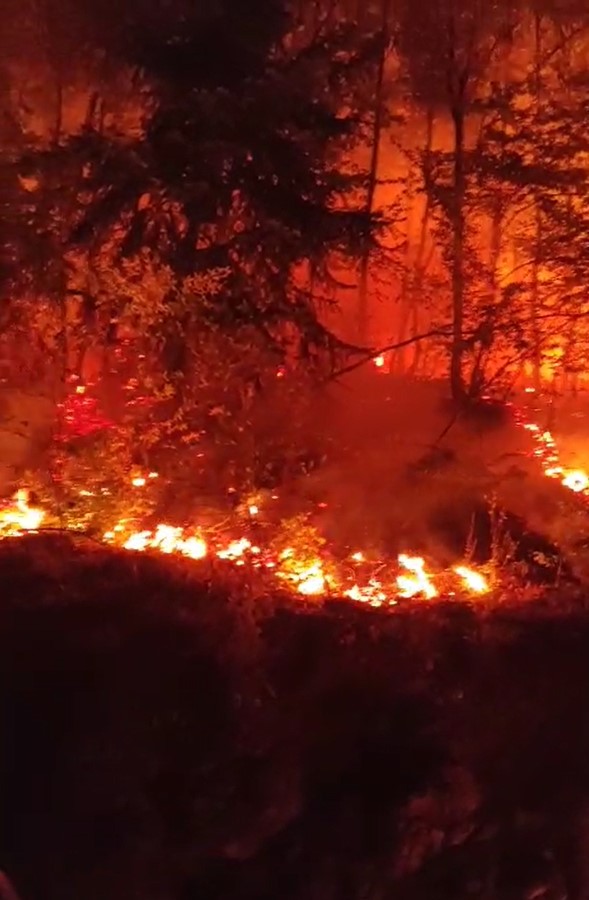 Düzce'nin Yığılca ilçesindeki Mengen köyü ormanlık alanında çıkan yangın, rüzgar