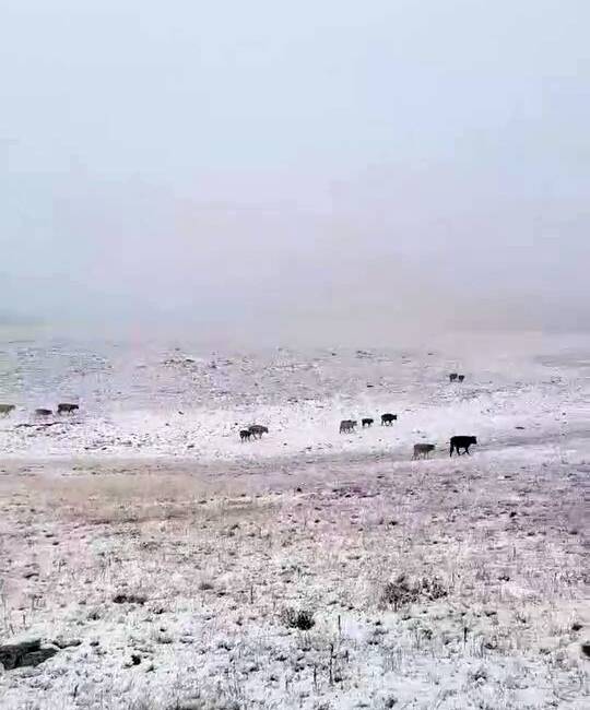 Erzurum'un İspir ilçesindeki Yedigöller, mevsimin ilk karıyla kaplandı. Yüksek rakımda