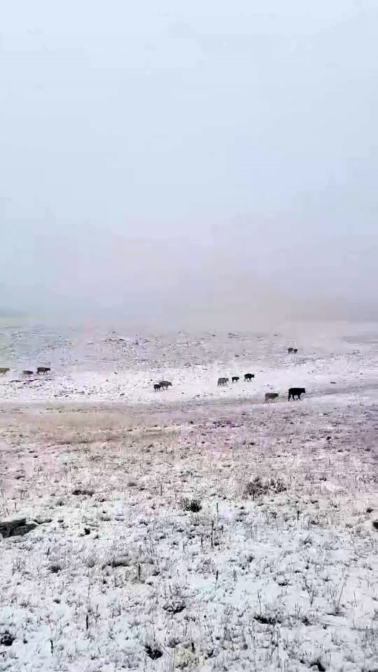Erzurum'un İspir ilçesindeki Yedigöller, mevsimin ilk karıyla kaplandı. Yüksek rakımda