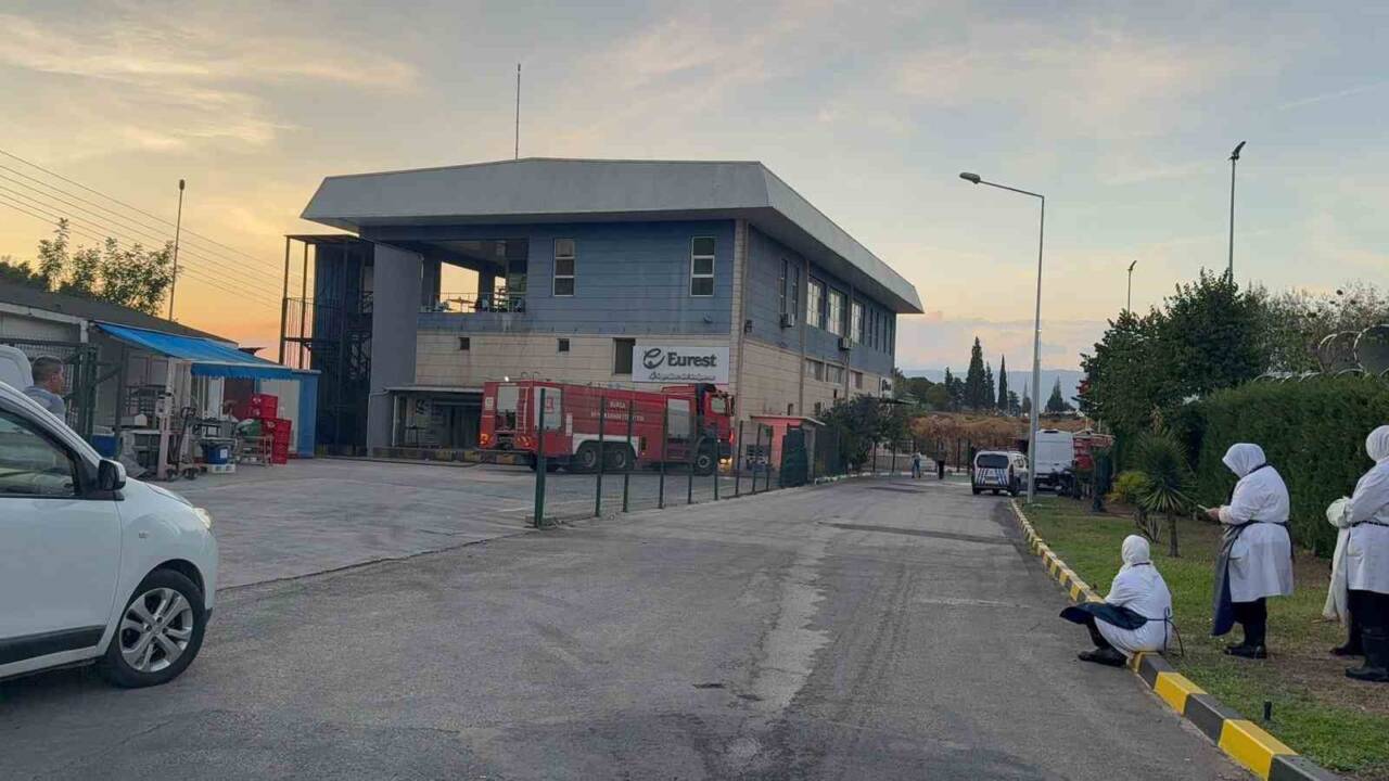Gemlik Serbest Bölge'deki bir işletmenin yemekhanesinde çıkan yangın sonrası çalışanlar