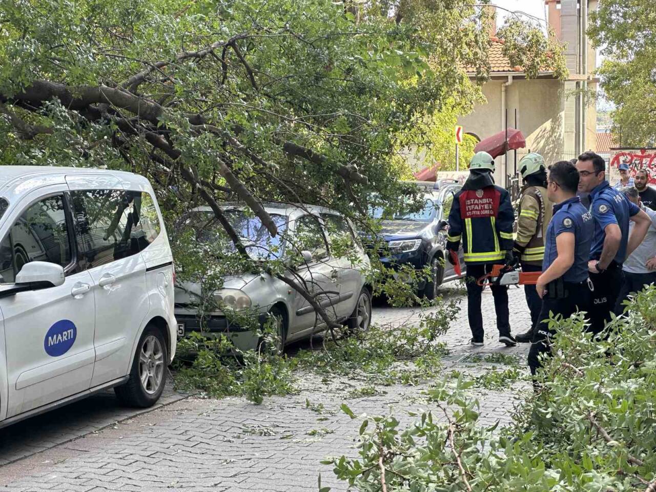 Kadıköy Caferağa Mahallesi'nde bir ağacın dalı, seyir halindeki Mustafa Kaan
