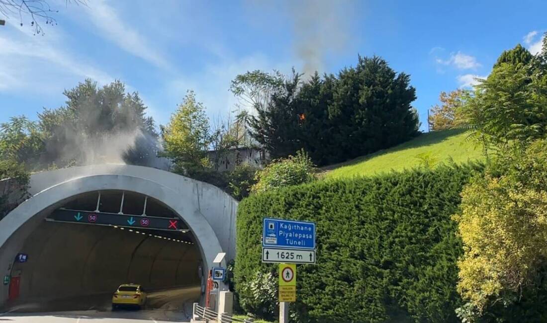 İstanbul Kağıthane'de Piyalepaşa Tüneli girişindeki ağaçlık alanda bilinmeyen bir nedenden