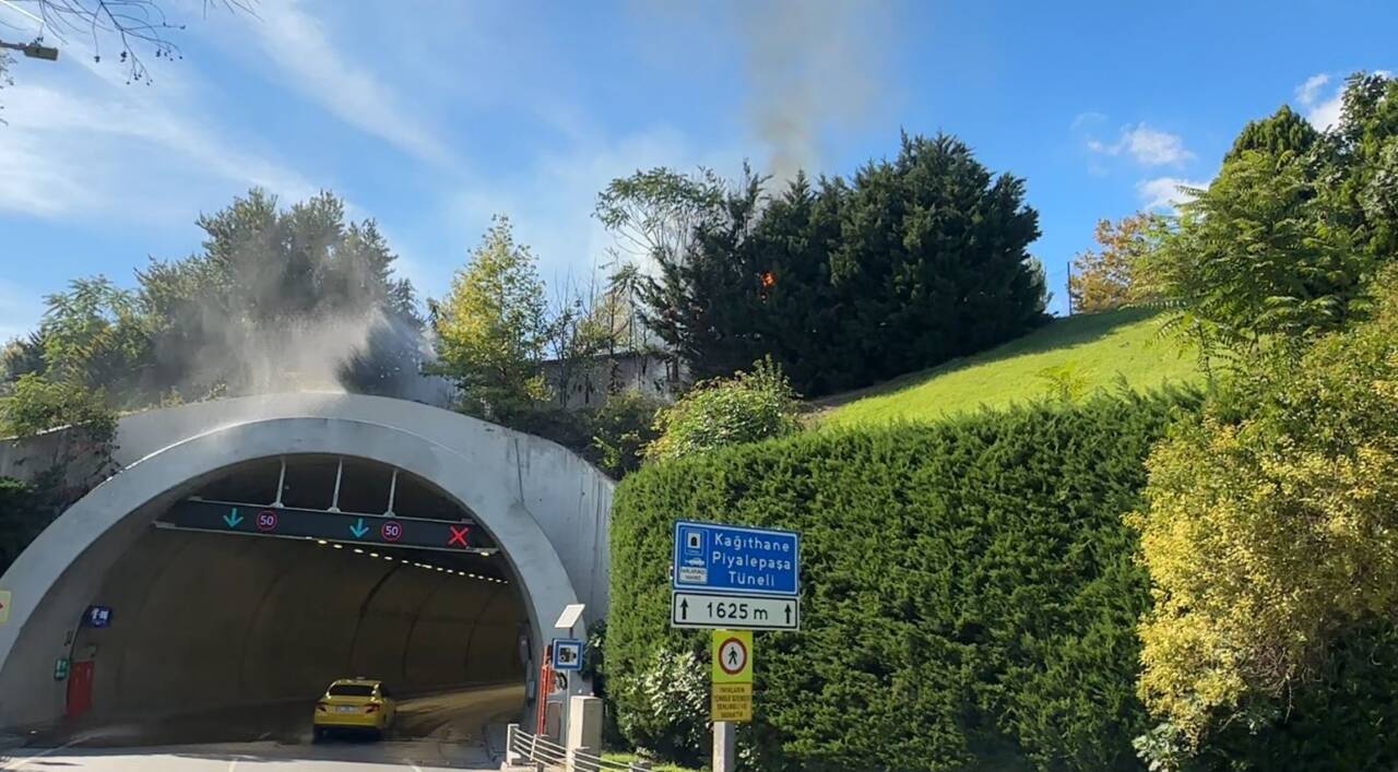 İstanbul Kağıthane'de Piyalepaşa Tüneli girişindeki ağaçlık alanda bilinmeyen bir nedenden
