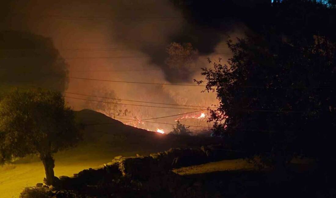 Muğla'nın Milas ilçesindeki Çomakdağ Mahallesi'nde çıkan sazlık yangını, vatandaşların ihbarı