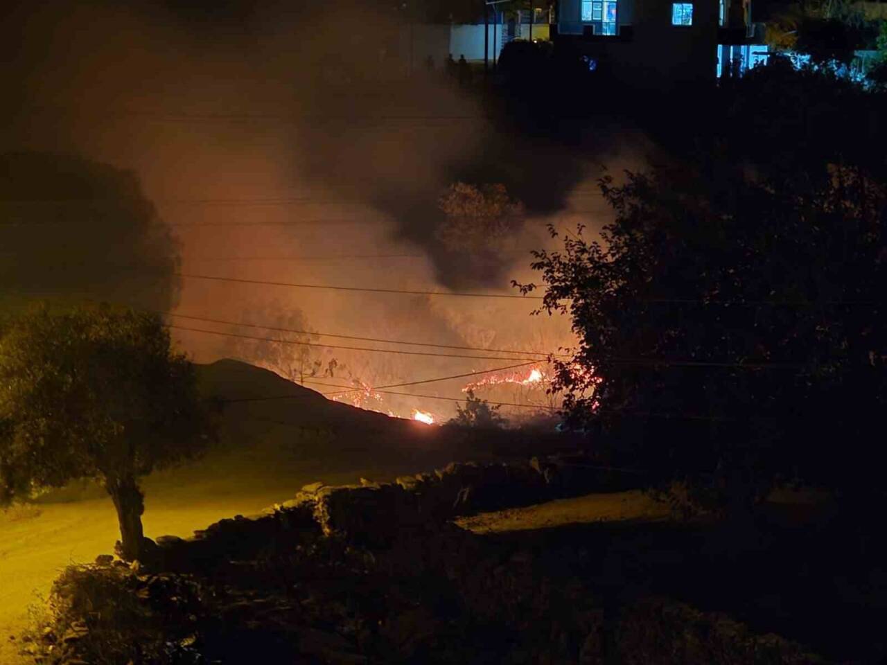 Muğla'nın Milas ilçesindeki Çomakdağ Mahallesi'nde çıkan sazlık yangını, vatandaşların ihbarı