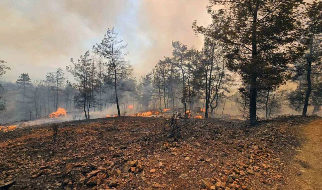 Muğla'nın Milas ve Köyceğiz ilçelerinde etkili olan orman yangınlarına karşı,
